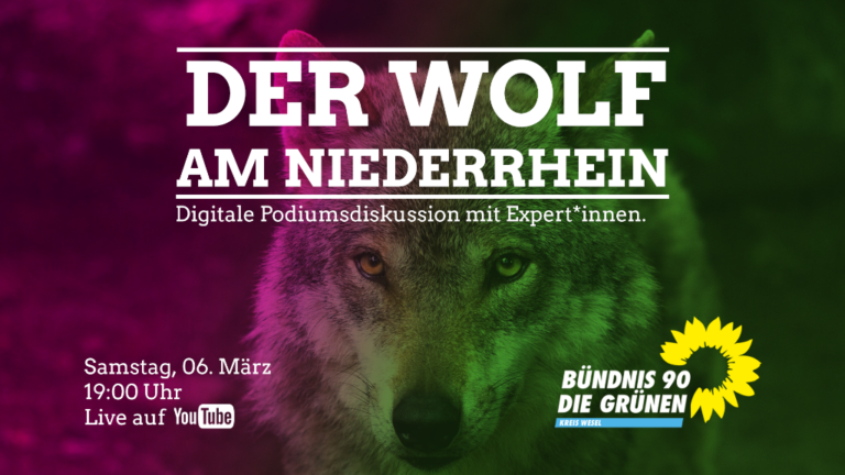 Digitale Veranstaltung zum Wolf am Niederrhein, 6.3.
