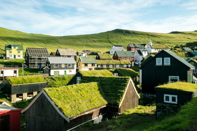 GRÜNE wollen Dachbegrünung in Dinslaken fördern