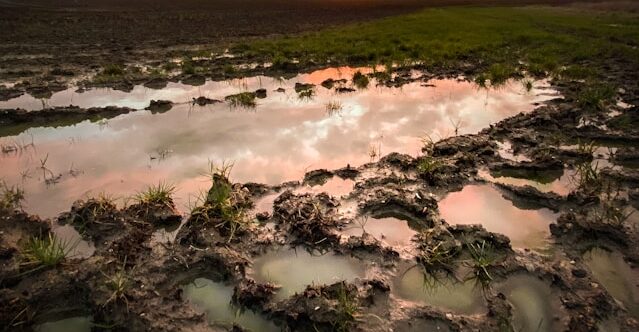 Grundhochwasserproblematik im Kreis Wesel