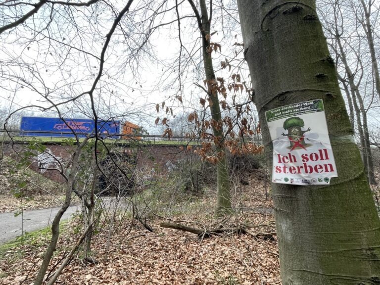 Wahlkampfschwerpunkt Nachhaltigkeit – Neutorplatz und Sterkrader Wald mit Henneberger und Krumwiede-Steiner, 22.02.