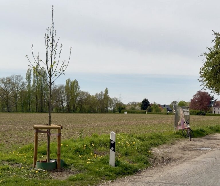 GRÜNE wollen Bebauungspläne an der Flurstraße stoppen